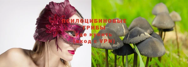 кокс Арсеньев