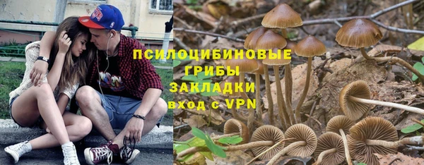 кокс Арсеньев