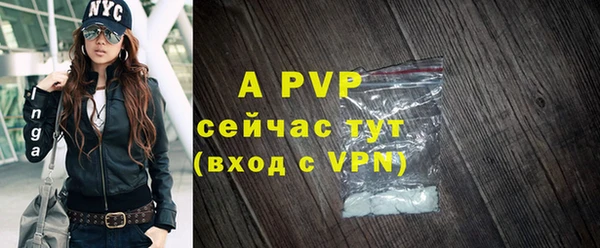 сатива Аркадак